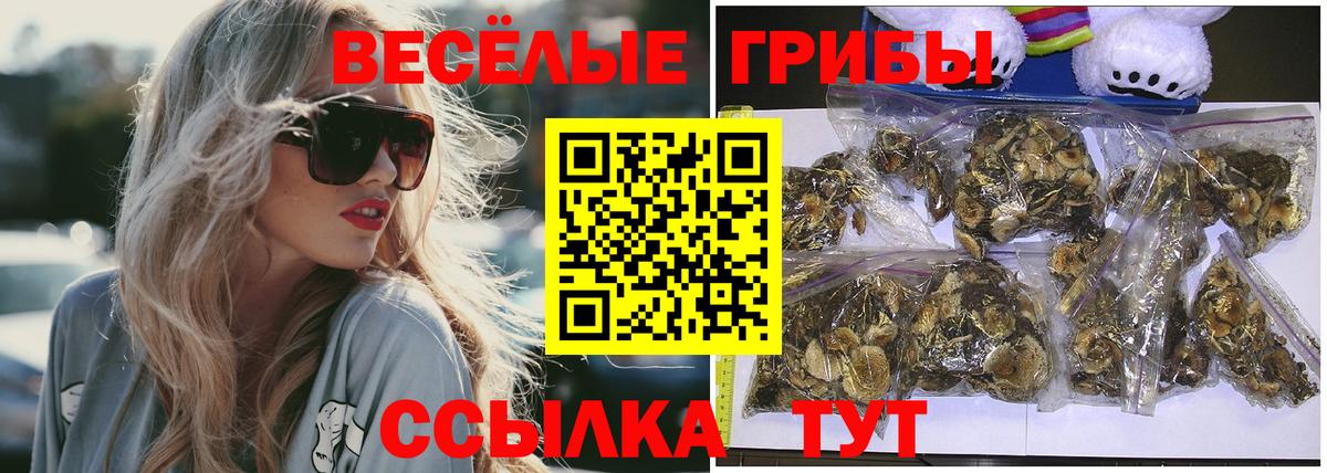 Галлюциногенные грибы мухоморы  Вход с VPN  Псилоцибиновые грибы Psilocybine cubensis  Киржач 